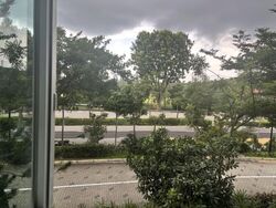Blk 513D Saraca Breeze @ Yishun (Yishun), HDB 5 Rooms #580242771